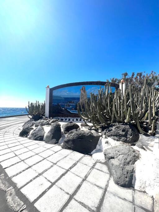 Casa A 50 Metros De La Playa. Supreme Pedro Villa El Socorro Dış mekan fotoğraf